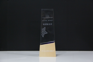精诚服务奖