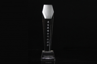 富力最佳战略合作伙伴奖